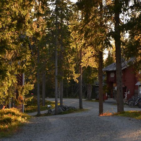 Wilderness Hotel Papin Talo 루카 외부 사진